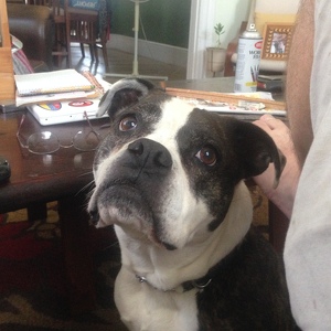 Fundraising Page: Brad Kottmeyer